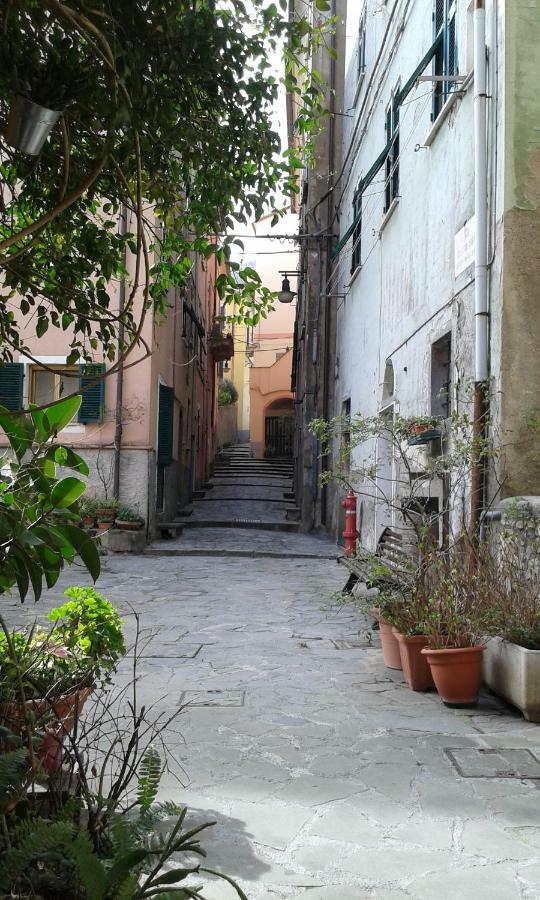 Il Nido Delle Taccole Daire Fezzano  Dış mekan fotoğraf